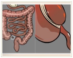 Slider image (7) Adiva | Super Speciality Care